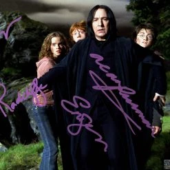 RARE-T Harry Potter Trio And Snape Photo Limited Signature Edition Studio Licensed Custom Frame Limited Edition Frames