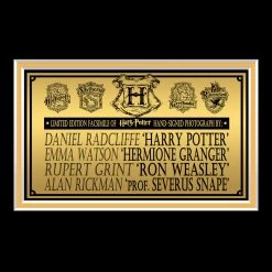 RARE-T Harry Potter Trio And Snape Photo Limited Signature Edition Studio Licensed Custom Frame Limited Edition Frames