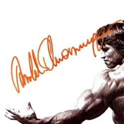 RARE-T Limited Edition Frames Pumping Iron Arnold Schwarzenegger Famous Pose Photo Limited Signature Edition Studio Licensed Custom Frame