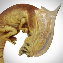 Wicked Alien Baby Queen Limited Premium Edition Statue