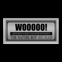 RARE-T Ric Flair Legend Photo Limited Signature Edition Licensed Custom Frame Sports Memorabilia