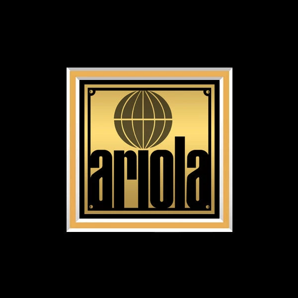 RARE-T Roch Voisine - H??l??ne Gold LP Limited Collector Edition Studio Licensed Custom Frame Limited Edition Frames 5 RARE-T Roch Voisine - H??l??ne Gold LP Limited Collector Edition Studio Licensed Custom Frame Limited Edition Frames