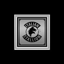 RARE-T Rocky IV Movie Soundtrack Limited Signature Edition Studio Licensed Platinum LP Custom Frame Sports Memorabilia