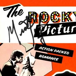 RARE-T Limited Edition Frames Rocky Horror Picture Show Soundtrack Platinum LP Limited Signature Edition Studio Licensed Custom Frame