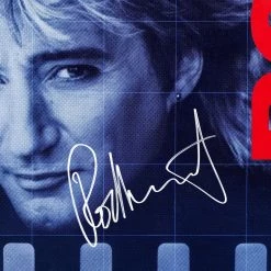 RARE-T Rod Stewart Camouflage Limited Signature Edition Studio Licensed LP Cover Custom Frame Limited Edition Frames