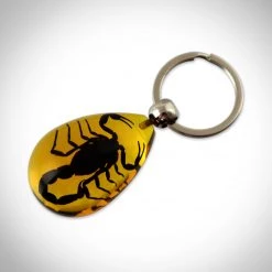 RealCoolBugs Ready To Ship! 48 Hour Shipping! Authentic 'Black Scorpion' Amber Teardrop Resin Keychain