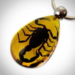 RealCoolBugs Ready To Ship! 48 Hour Shipping! Authentic 'Black Scorpion' Amber Teardrop Resin Keychain