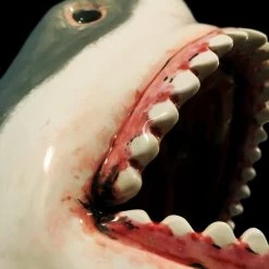Consignment Ready To Ship! 48 Hour Shipping! Jaws- Hand-Painted Glazed Great White Shark Ceramic Statue Signed By Canadian Artist Mr Bond