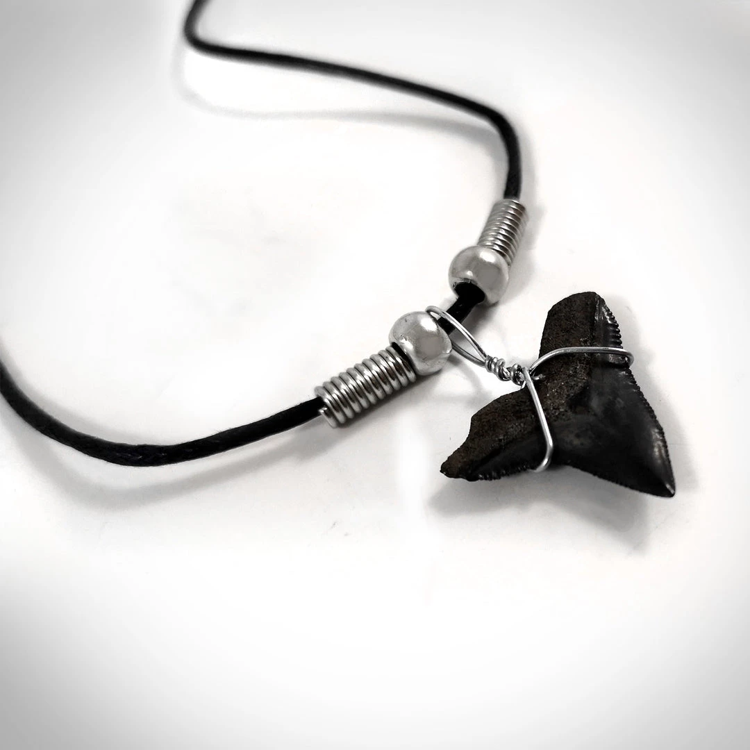 RARE-T Shark Tooth Necklace - Fossilized Floridian Prehistoric Shark Tooth Necklace 3 RARE-T Shark Tooth Necklace - Fossilized Floridian Prehistoric Shark Tooth Necklace