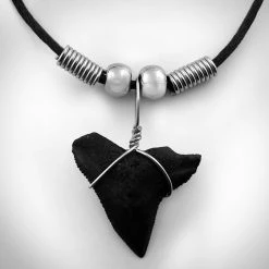 RARE-T Shark Tooth Necklace - Fossilized Floridian Prehistoric Shark Tooth Necklace
