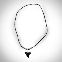 RARE-T Shark Tooth Necklace - Fossilized Floridian Prehistoric Shark Tooth Necklace