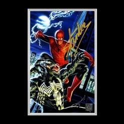 Rare-T Spider-Man Vs Venom Mask Prop Limited Signature Edition Custom Frame