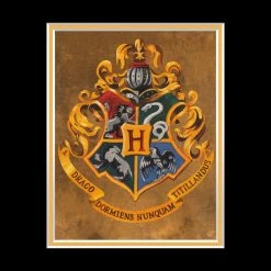 PPC Harry Potter - Beckett Certified Hand-Signed Mini Poster By Daniel Radcliffe Custom Frame