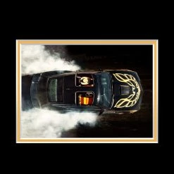 PPC Smokey And The Bandit - Beckett Witnessed Certified Hand-Signed BAN ONE License Plate By Burt Reynolds Custom Frame Signed Memorabilia 18 PPC Smokey And The Bandit - Beckett Witnessed Certified Hand-Signed BAN ONE License Plate By Burt Reynolds Custom Frame Signed Memorabilia