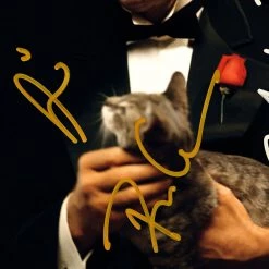 RARE-T The Godfather Promotional Photo Limited Signature Edition Studio Licensed Custom Frame