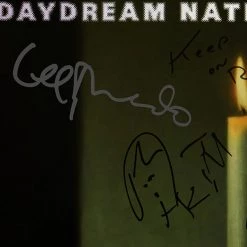 RARE-T Sonic Youth - Daydream Nation Gold LP Limited Signature Edition Studio Licensed Custom Frame Limited Edition Frames