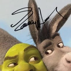 RARE-T Shrek Limited Signature Edition Studio Licensed Promotional Art Mini Poster Custom Frame Limited Edition Frames