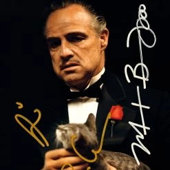 RARE-T The Godfather Photo & VHS Limited Signature Edition Studio Licensed Custom Frame NEW