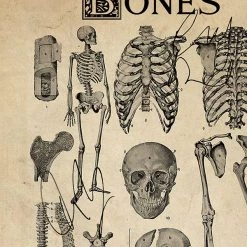 RARE-T Bones Script Limited Signature Edition Studio Licensed Custom Frame Limited Edition Frames 14 RARE-T Bones Script Limited Signature Edition Studio Licensed Custom Frame Limited Edition Frames