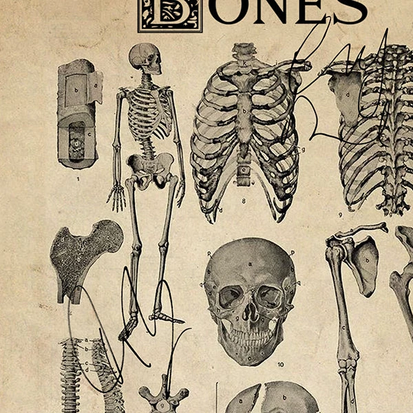 RARE-T Bones Script Limited Signature Edition Studio Licensed Custom Frame Limited Edition Frames 4 RARE-T Bones Script Limited Signature Edition Studio Licensed Custom Frame Limited Edition Frames