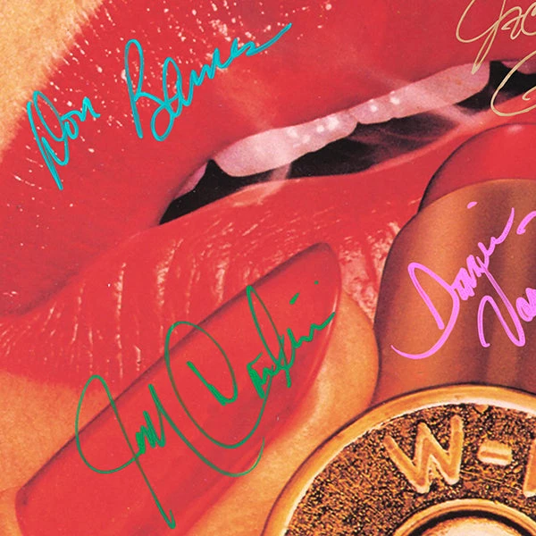 RARE-T .38 Special - Rockin’ Into The Night LP Cover Limited Signature Edition Studio Licensed Custom Frame 4 RARE-T .38 Special - Rockin’ Into The Night LP Cover Limited Signature Edition Studio Licensed Custom Frame