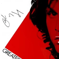G.R.O. The Doors - Greatest Hits Platinum LP Limited Signature Edition Studio Licensed Custom Frame Limited Edition Frames
