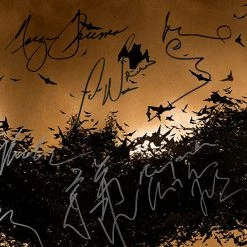 RARE-T Limited Edition Frames Batman Begins Script Limited Signature Edition Studio Licensed Custom Frame