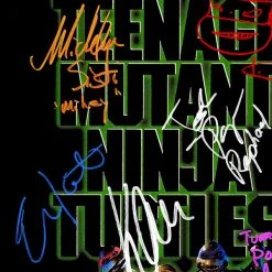 RARE-T Teenage Mutant Ninja Turtles (1990) Transcript Limited Signature Edition Studio Licensed Custom Frame Limited Edition Frames