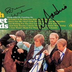 RARE-T The Beach Boys Pet Sounds Platinum LP Limited Signature Edition Studio Licensed Custom Frame Limited Edition Frames