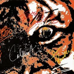 RARE-T Limited Edition Frames Survivors - The Eye Of The Tiger LP Cover Limited Signature Edition Studio Licensed Custom Frame