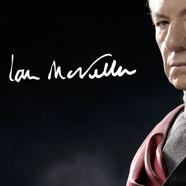 RARE-T X-Men - Magneto Photo Limited Signature Edition Studio Licensed Custom Frame 4 RARE-T X-Men - Magneto Photo Limited Signature Edition Studio Licensed Custom Frame