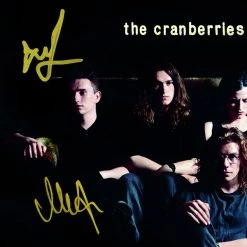 RARE-T The Cranberries - Everybody Else Is Doing It, So Why Can't We? Platinum LP Limited Signature Edition Studio Licensed Custom Frame