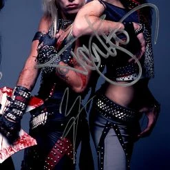 RARE-T Limited Edition Frames Motley Crue Band Photo Limited Signature Edition Studio Licensed Custom Frame