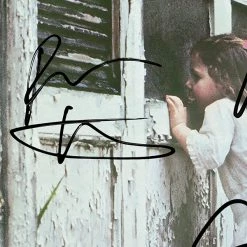 RARE-T Violent Femmes - Self-titled Gold LP Limited Signature Edition Studio Licensed Custom Frame Limited Edition Frames