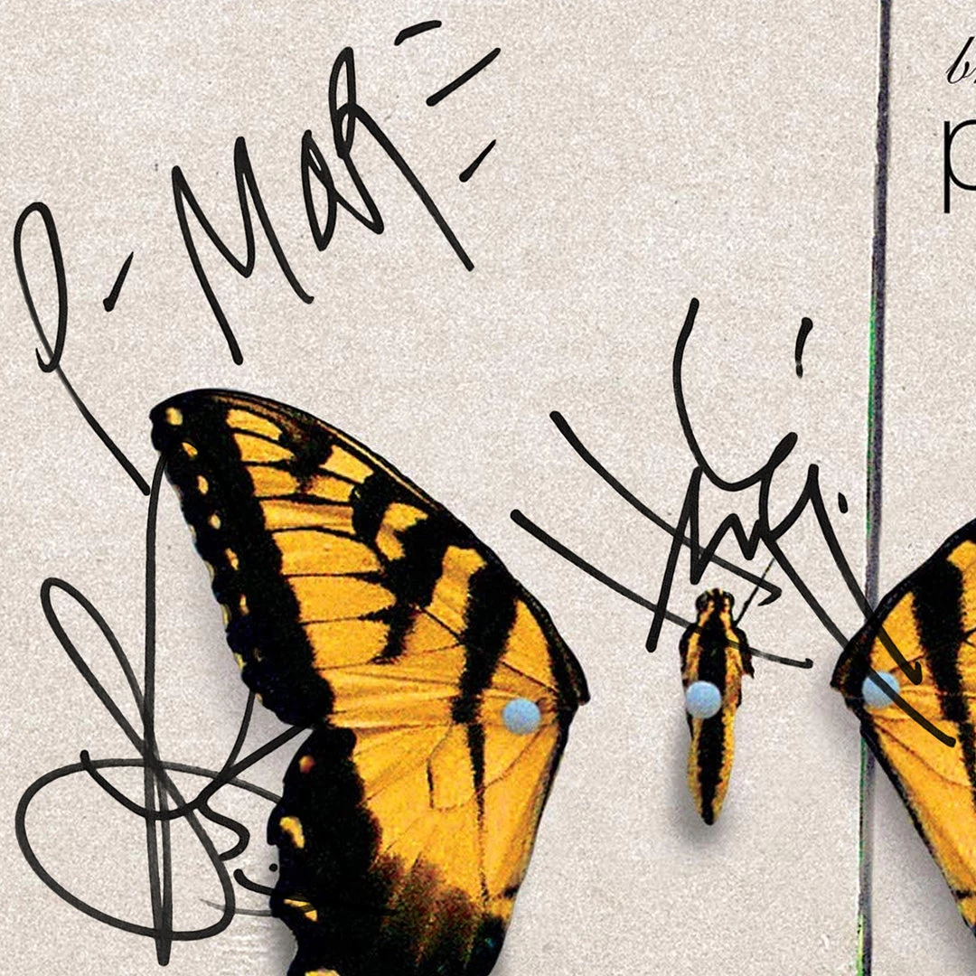 RARE-T Paramore Brand New Eyes Gold LP Limited Signature Edition Studio Licensed Custom Frame 2 RARE-T Paramore Brand New Eyes Gold LP Limited Signature Edition Studio Licensed Custom Frame