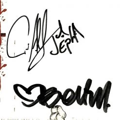 RARE-T The Used - Self-Titled LP Cover Limited Signature Edition Studio Licensed Custom Frame Limited Edition Frames