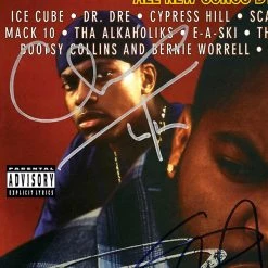 RARE-T Friday - Original Motion Picture Soundtrack Platinum LP Limited Signature Edition Studio Licensed Custom Frame