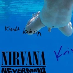 RARE-T Limited Edition Frames Nirvana Nevermind Limited Signature Edition Studio Licensed LP Cover Custom Frame