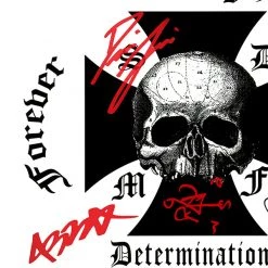 RARE-T Black Label Society The Blessed Hellride Platinum LP Limited Signature Edition Studio Licensed Custom Frame Limited Edition Frames