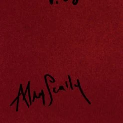 RARE-T Beach House - Depression Cherry LP Cover Limited Signature Edition Studio Licensed Custom Frame