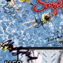 RARE-T Limited Edition Frames Sugar Ray - 14.59 Platinum LP Limited Signature Edition Studio Licensed Custom Frame