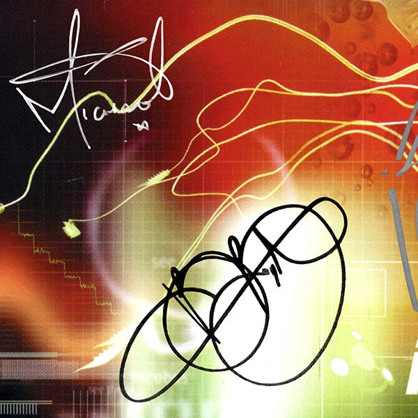 RARE-T Incubus Make Yourself Gold LP Limited Signature Edition Studio Licensed Custom Frame Limited Edition Frames 2 RARE-T Incubus Make Yourself Gold LP Limited Signature Edition Studio Licensed Custom Frame Limited Edition Frames