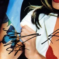 RARE-T Blink-182 - Enema Of The State Platinum LP Limited Signature Edition Studio Licensed Custom Frame Limited Edition Frames