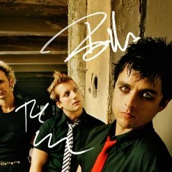RARE-T Limited Edition Frames Green Day Band Photo Limited Signature Edition Studio Licensed Custom Frame