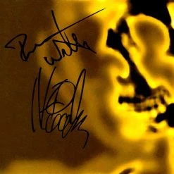 RARE-T Limited Edition Frames Offspring - Smash Gold LP Limited Signature Edition Studio Licensed Custom Frame 15 RARE-T Limited Edition Frames Offspring - Smash Gold LP Limited Signature Edition Studio Licensed Custom Frame