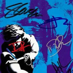 RARE-T Guns 'N' Roses - Use Your Illusion II Platinum LP Limited Signature Edition Studio Licensed Custom Frame Limited Edition Frames