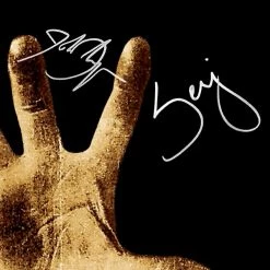 Rare-T Limited Edition Frames System Of A Down - 1998 Gold LP Limited Signature Edition Studio Licensed Custom Frame