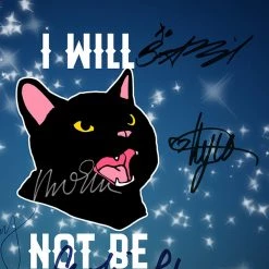 RARE-T Limited Edition Frames Sabrina The Teenage Witch Script Limited Signature Edition Studio Licensed Custom Frame