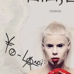 RARE-T Limited Edition Frames Die Antwoord Ten$ion Platinum LP Limited Signature Edition Studio Licensed Custom Frame 13 RARE-T Limited Edition Frames Die Antwoord Ten$ion Platinum LP Limited Signature Edition Studio Licensed Custom Frame