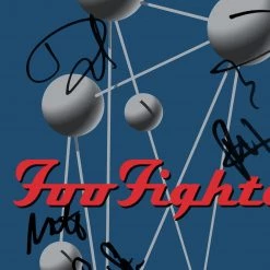 RARE-T Foo Fighters The Colour And The Shape LP Cover Limited Signature Edition Studio Licensed Custom Frame Limited Edition Frames